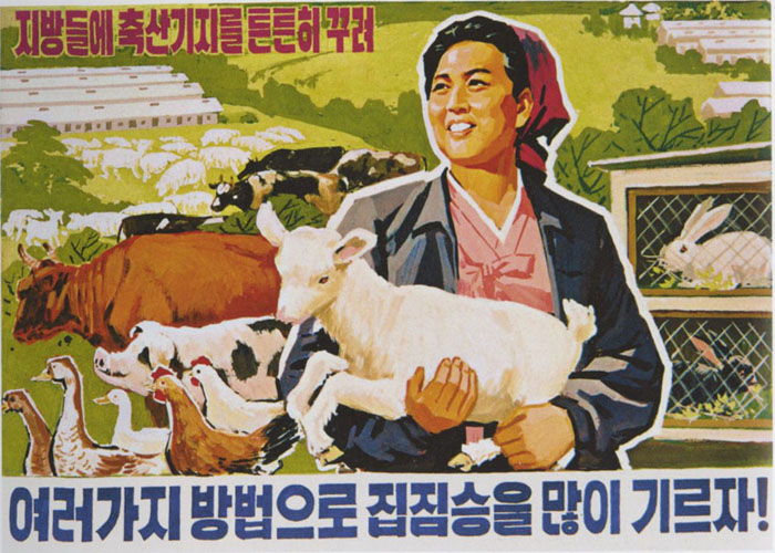 плакат КНДР